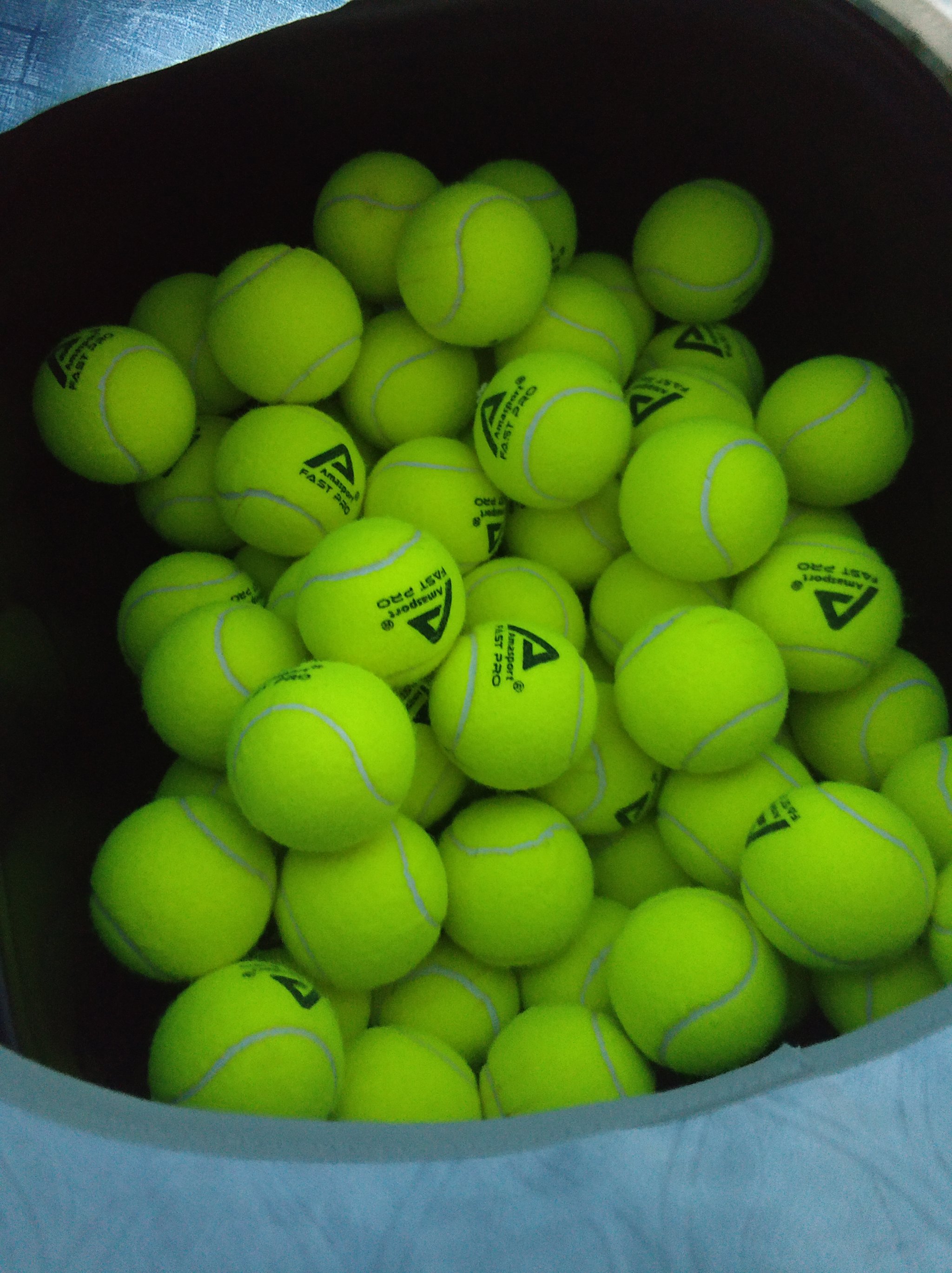 发布与他们 发布与他们