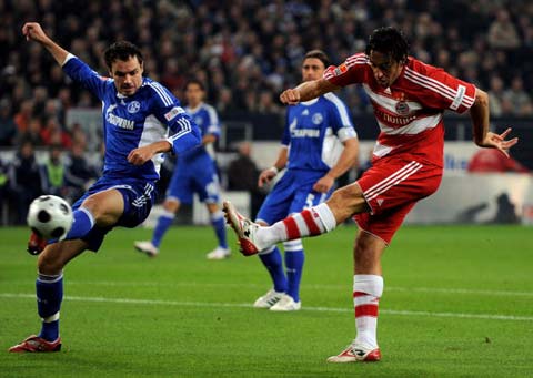 的秩序与肋 的秩序与肋