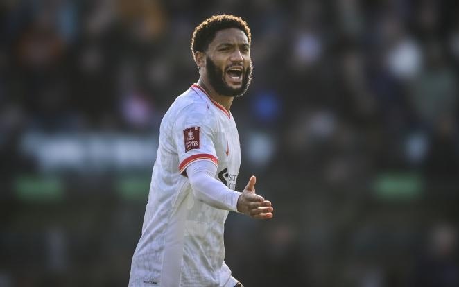 在连战期采 在连战期采